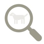 Verhaltensberatung