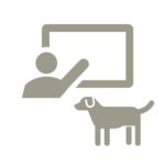 Schulhund